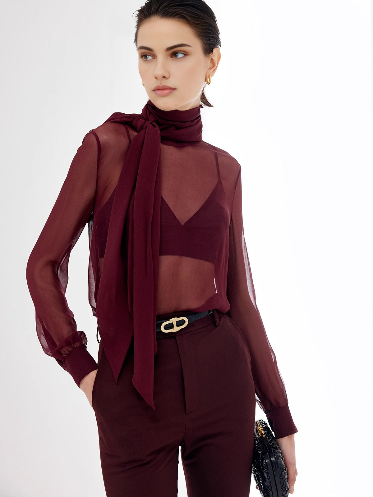 Sheer Bow Chiffon Blouse
